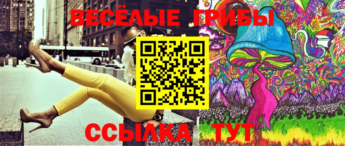 Галлюциногенные грибы прущие грибы  Вход с VPN  Чапаевск 